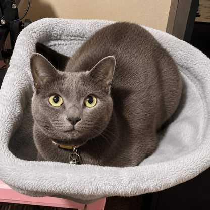 PetNapper™ Keep Your Best Friend Close