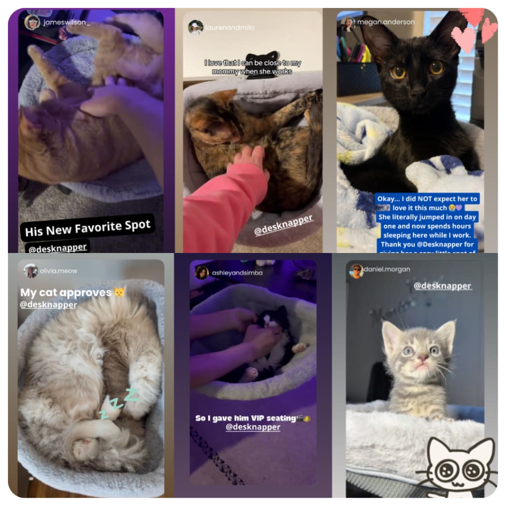 PetNapper™ Keep Your Best Friend Close
