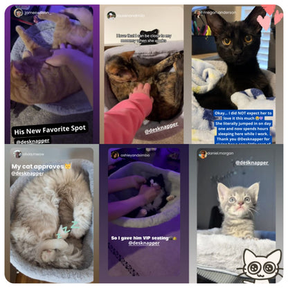 PetNapper™ Keep Your Best Friend Close